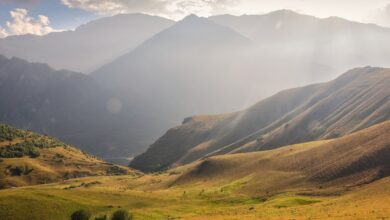 Photo of Альпийский холм на даче