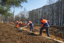 Photo of Сад-лабиринт для отдыха
