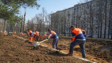 Photo of Сад-лабиринт для отдыха